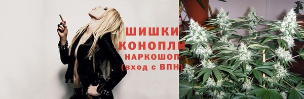 индика Приозерск