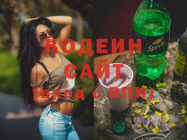 индика Приозерск