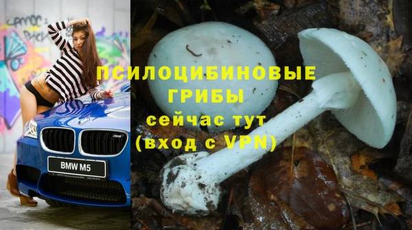 ГАЛЛЮЦИНОГЕННЫЕ ГРИБЫ Заволжск